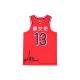 Li Ning CBA Guangzhou Loong Lions 2024-2025 Fans Edition Basketball Jersey - NO.13 Guo Ailun