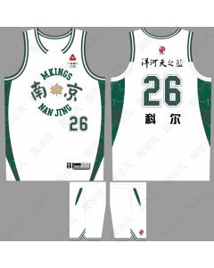 CBA 2025-2026 Nanjing Monkey Kings Custom Basketball Jersey - NO.26 J. Cole
