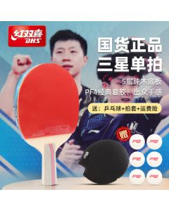 DHS T3006 T.T. PADDLE - SHORT HANDLE AND PIMPLE IN